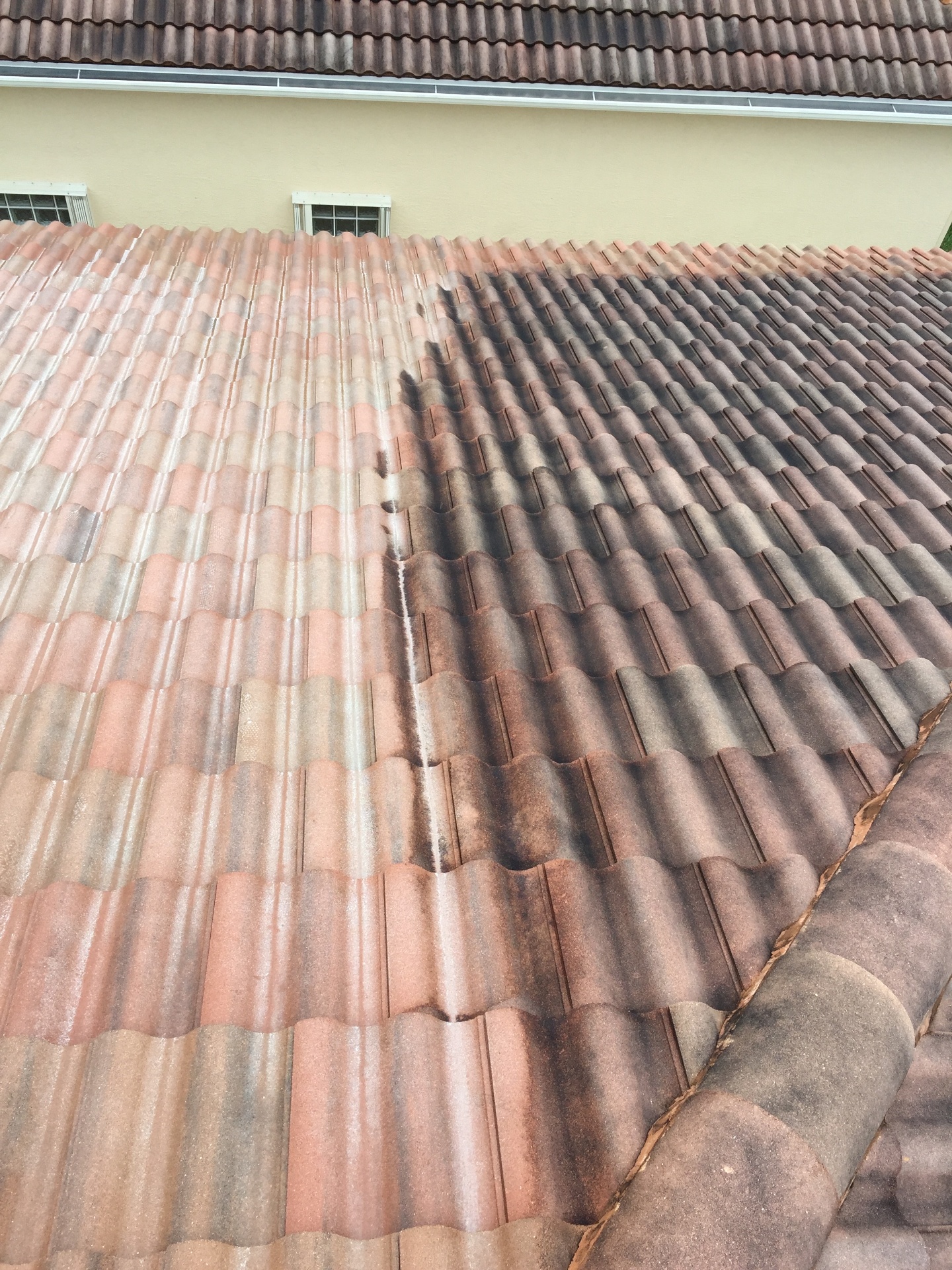 Tile roof cleaning before and after
